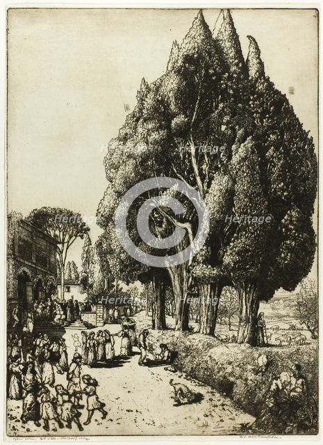Cypress Grove, 1904. Creator: Donald Shaw MacLaughlan.
