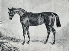 Cyprian 19th century, (1911)