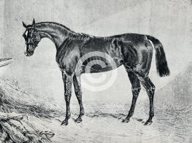 'Cyprian', 19th century, (1911). Artist: Unknown.