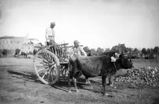 Cyprus, 1878. Creator: John Thomson
