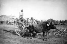 Cyprus, 1878. Creator: John Thomson