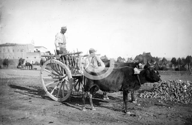 Cyprus, 1878. Creator: John Thomson.