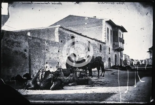 Cyprus, a camel caravan,  1981 (from a negative of 1878). Creator: John Thomson.