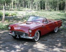 A 1955 Ford Thunderbird
