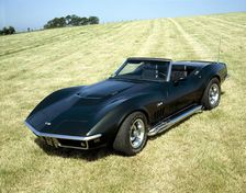 A 1969 Chevrolet Corvette Stingray in a field