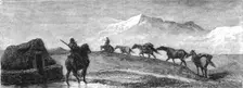 A team of Ponies; An Icelanders Notes on Iceland 1875. Creator: Unknown