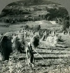 A Telemarken Harvest Scene near Saude, Norway c1930s. Creator: Unknown