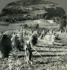 A Telemarken Harvest Scene near Saude, Norway c1930s. Creator: Unknown