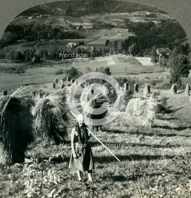 'A Telemarken Harvest Scene near Saude, Norway', c1930s. Creator: Unknown.