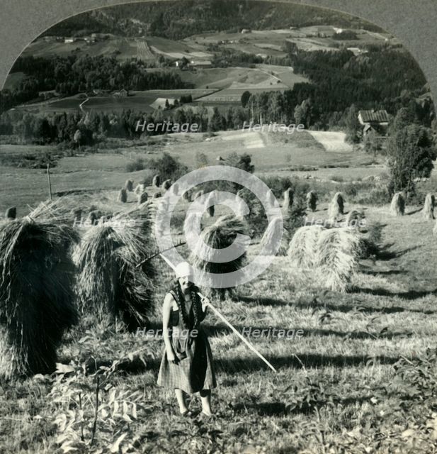 'A Telemarken Harvest Scene near Saude, Norway', c1930s. Creator: Unknown.
