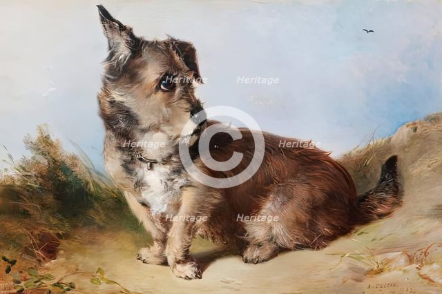 A Terrier Dog, 1852. Creator: James Cassie.