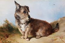 A Terrier Dog, 1852. Creator: James Cassie
