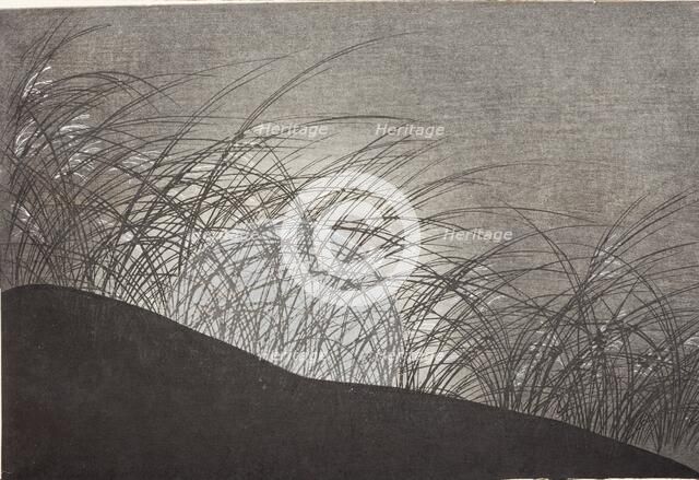 A Thousand Grasses (Chigusa) (image 19 of 33), 1900. Creator: Kamisaka Sekka.