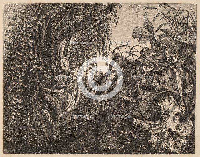 A Thicket; a Gnarled Willow Tree at Left, a Thicket of Vegetation at Right, 1820/1835. Creator: Carl Wilhelm Kolbe the elder.