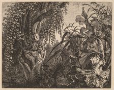A Thicket; a Gnarled Willow Tree at Left, a Thicket of Vegetation at Right, 1820/1835. Creator: Carl Wilhelm Kolbe the elder