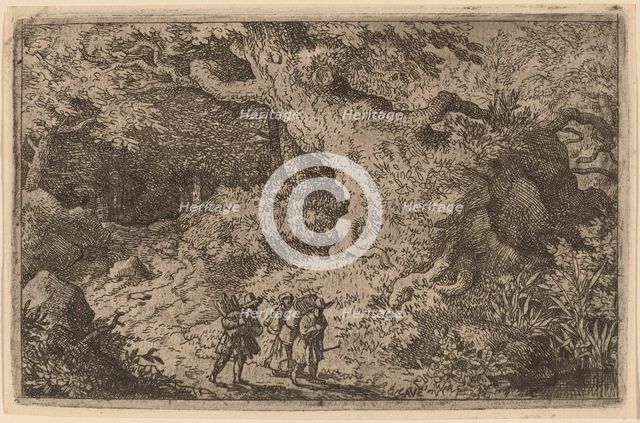 A Thick Forest, probably c. 1645/1656. Creator: Allart van Everdingen.