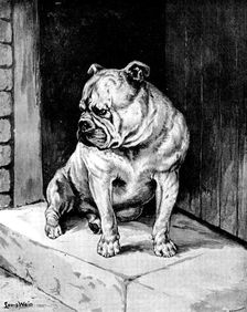 "A Thing of Beauty" - sketch at the Bulldog Show, 1890. Creator: George Meisenbach