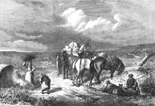 A Timber Clearing in the New Forest, 1871. Creator: Unknown