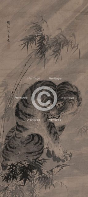A tiger lashed by the rain, 17th century. Creator: Yuhi; Kumashiro (1712-1773).