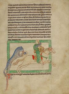 A Tiger; Northumberland Bestiary, about 1250-1260. Creator: Unknown