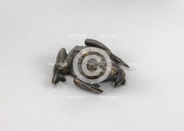 A Toad, 16th century. Creator: Unknown.