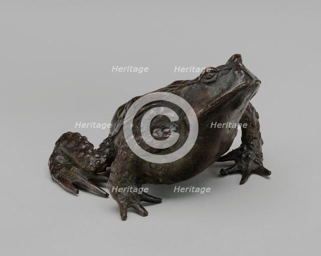 A Toad, early 16th century. Creator: Unknown.