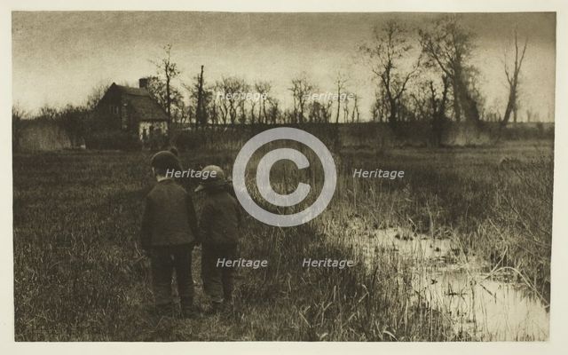 A Toad in the Path: Early Spring in Norfolk, c. 1883/87, printed 1888. Creator: Peter Henry Emerson.