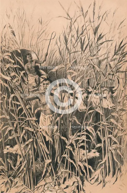 'A Troublesome Road', c1880. Artist: Unknown.