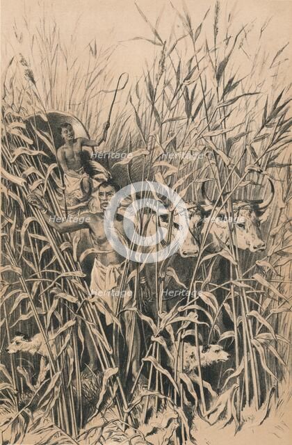 'A Troublesome Road', c1880. Artist: Unknown.