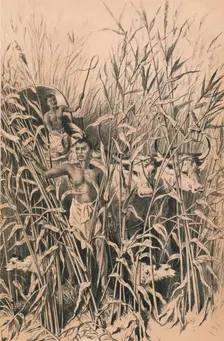 A Troublesome Road c1880