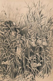 A Troublesome Road c1880