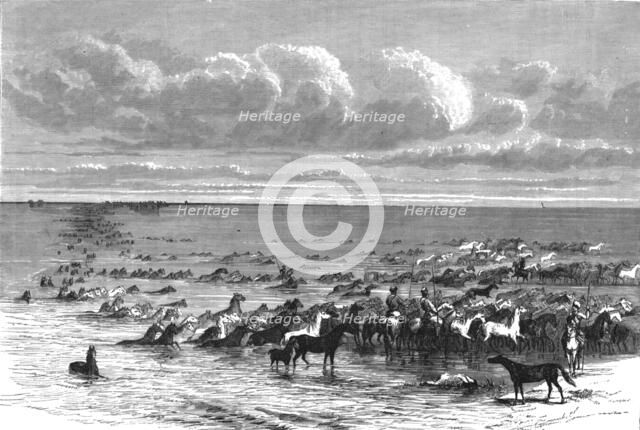 'A troup of horses crossing the Volga; A Journey on the Volga', 1875. Creator: Nicholas Rowe.
