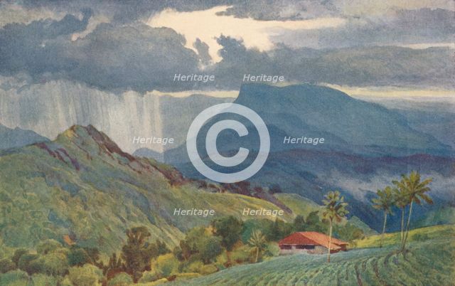 'A Tropical Shower', c1880 (1905). Creator: Alexander Henry Hallam Murray.