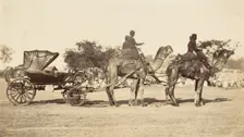 A Travelling Camel Carriage from Lahore to Peshawar, Governor General's Camp, 1858-61. Creator: Unknown