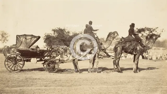 A Travelling Camel Carriage from Lahore to Peshawar, Governor General's Camp, 1858-61. Creator: Unknown.