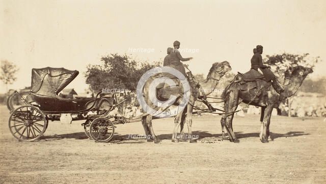 A Travelling Camel Carriage from Lahore to Peshawar, Governor General's Camp, 1858-61. Creator: Unknown.