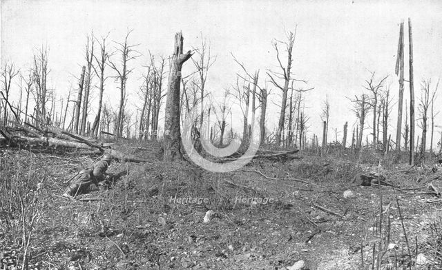 ''A Travers la Fournaise; En patrouille dans un bois mutile de la region de Vaux', 1916 (1924) Creator: Unknown.