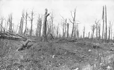 'A Travers la Fournaise; En patrouille dans un bois mutile de la region de Vaux 1916 (1924) Creator: Unknown