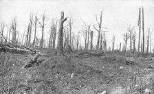 'A Travers la Fournaise; En patrouille dans un bois mutile de la region de Vaux 1916 (1924) Creator: Unknown