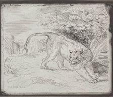A Trapped Tiger, 1854. Creator: Eugène Delacroix (French, 1798-1863)