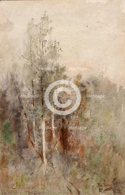 A Tree Study, 1879. Creator: Ross Turner.