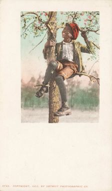 A Treed Coon, 1900 - 1902. Creator: Detroit Publishing Company