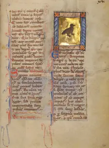 A Turtle Dove; Bestiary, about 1270. Creator: Unknown