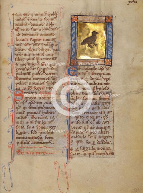 A Turtle Dove; Bestiary, about 1270. Creator: Unknown.