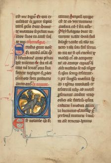 A Turtle Dove; De Natura Avium; De Pastoribus et Ovibus; Bestiarium, 1277 or after. Creator: Unknown