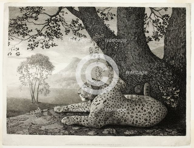 A Tyger (A Recumbent Leopard by a Tree), May 1, 1788. Creator: George Stubbs.