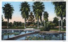 A Typical Park Scene in Southern California USA, 1924