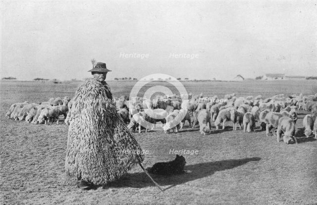 'A typical shepherd and his flock on the plains of Hungary', 1915. Artist: Unknown.