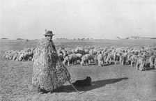A typical shepherd and his flock on the plains of Hungary 1915