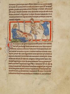 A Unicorn; Northumberland Bestiary, about 1250-1260. Creator: Unknown